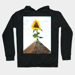 Closer to the Sun Hoodie